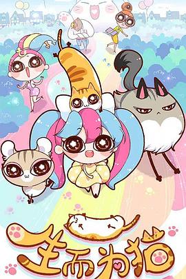 优化seo11微信840一900一97